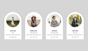 Team Member - Variation Rounded 