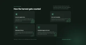 Staggered Process Cards
