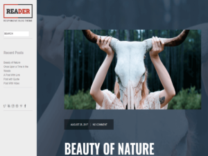 Recommended Themes - ReaderWP