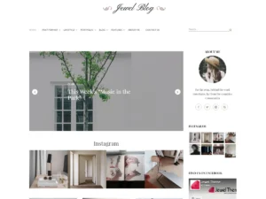 Recommended Themes - Jewel