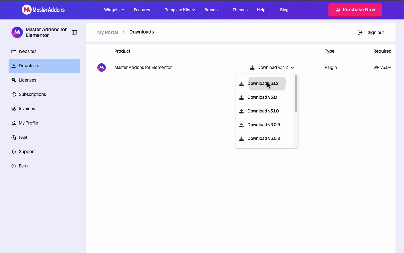 Selecting a Master Addons Pro version to download from the account portal downloads dropdown
