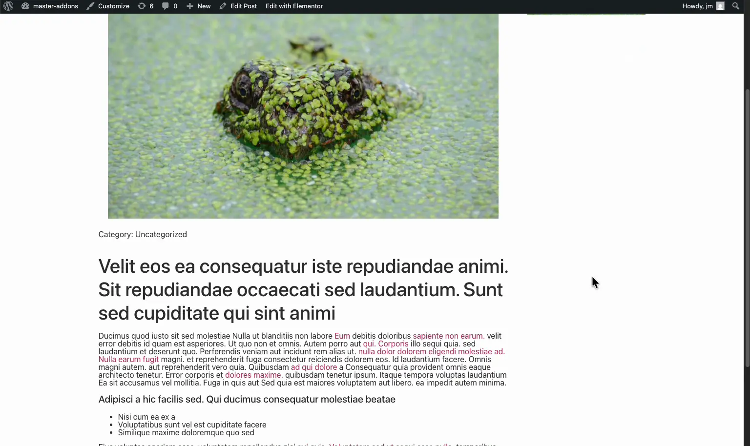 Published single post template on the front end showing dynamic title, category, and content