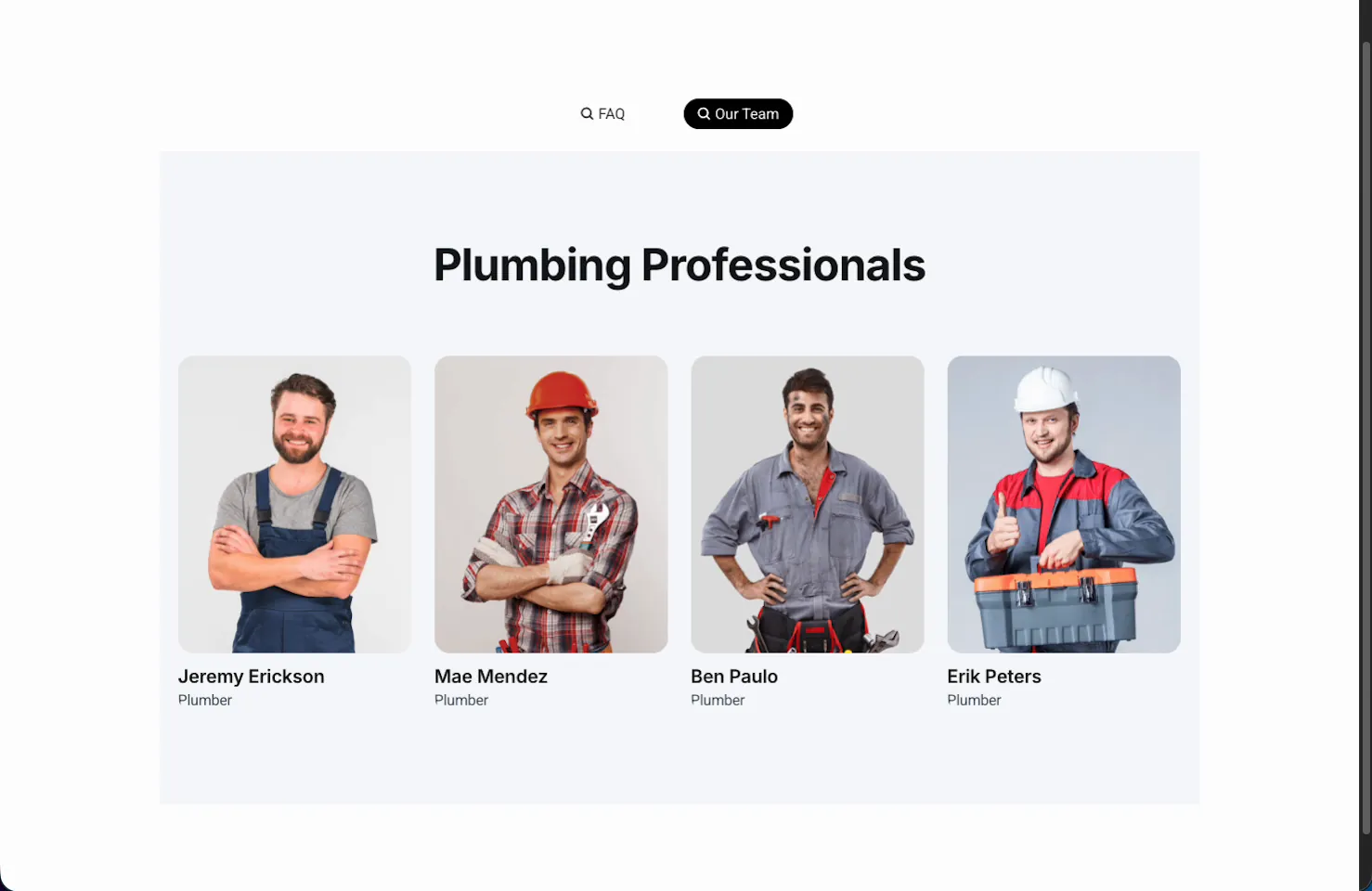 Finished Toggle Content on the live page with the Our Team option active, showing a Plumbing Professionals team template