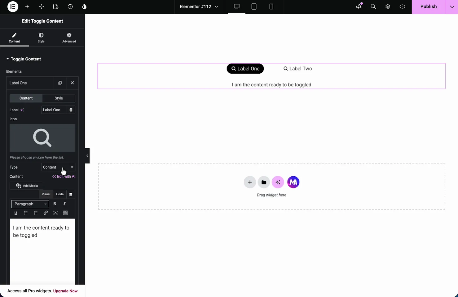 Toggle option settings showing Label, Icon, Type set to Content, and a rich text content editor