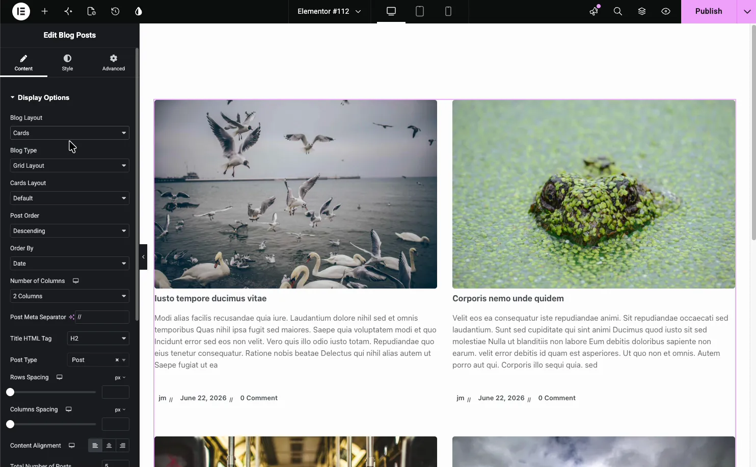 Blog Posts Display Options set to a Cards grid layout with two columns showing post cards in the Elementor editor
