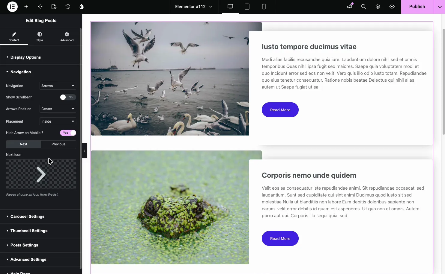 Blog Posts Navigation settings for the carousel with arrows, scrollbar, arrows position, placement, and custom next and previous icons