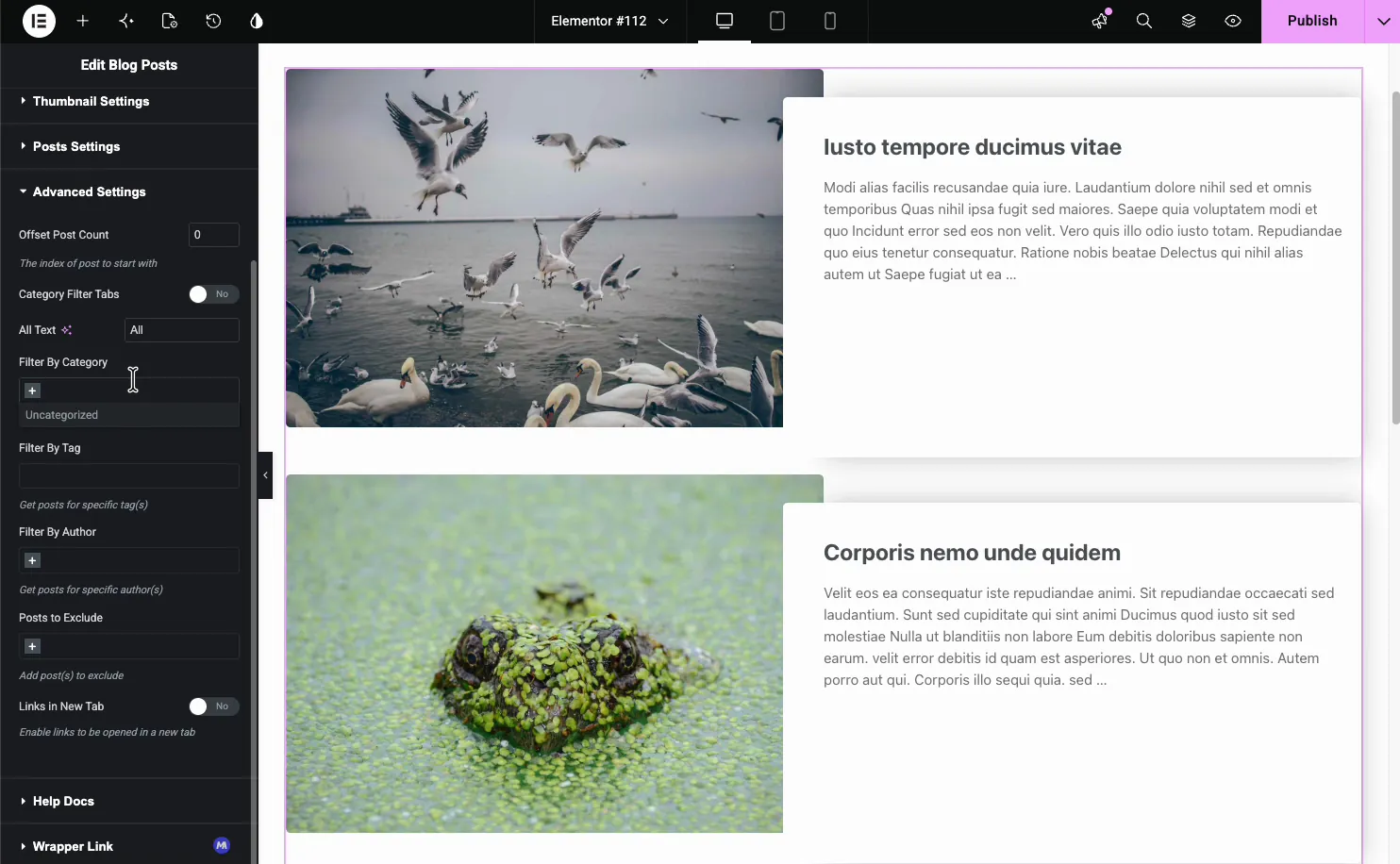 Blog Posts Advanced Settings with offset post count, category filter tabs, filter by category, tag, author, and posts to exclude