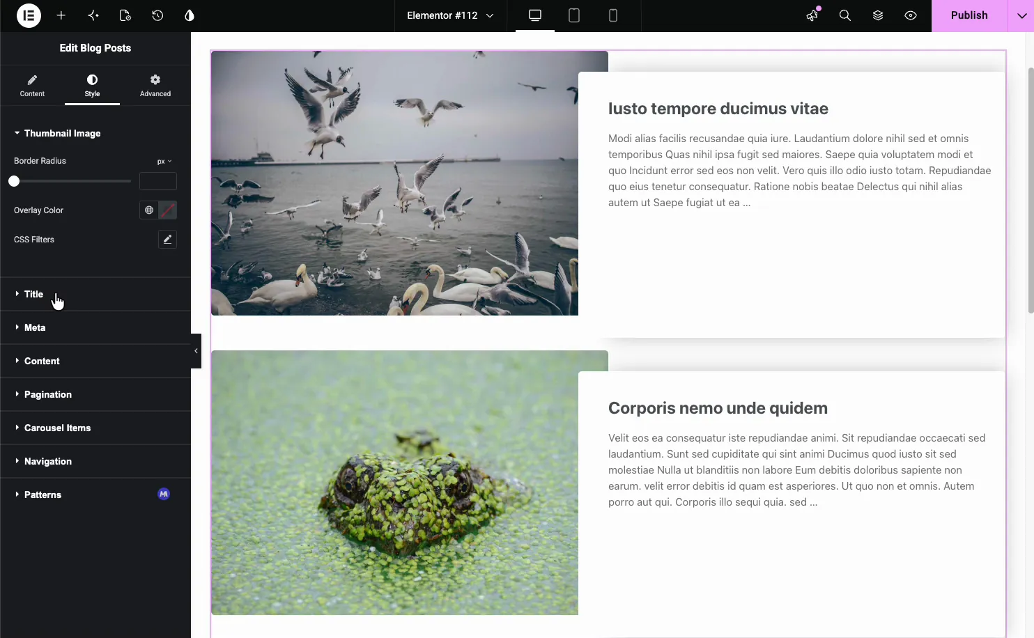Blog Posts Style tab with sections for Thumbnail Image, Title, Meta, Content, Pagination, Carousel Items, Navigation, and Patterns