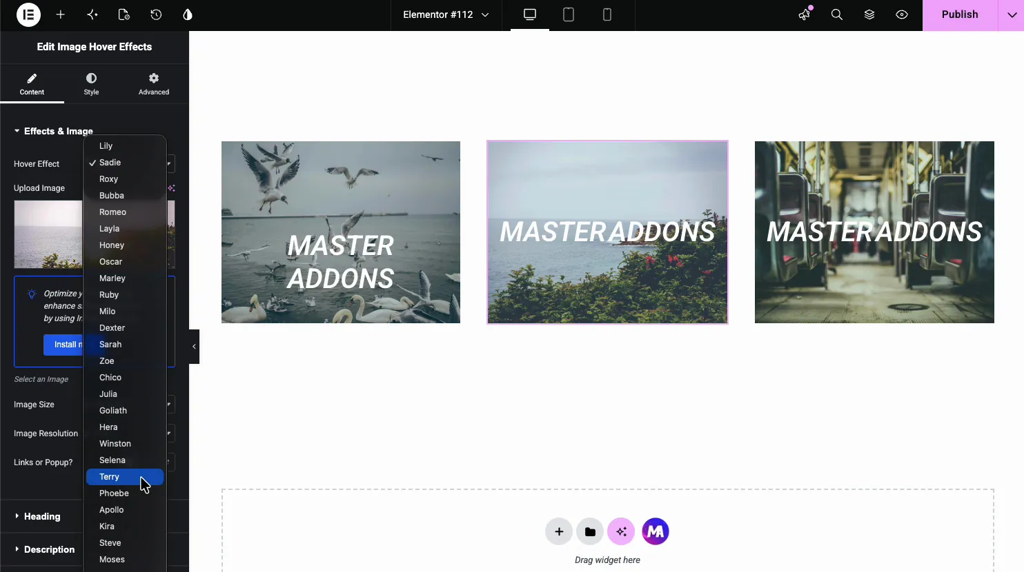 Image Hover Effects Hover Effect dropdown open showing Lily, Sadie, Roxy, Bubba, Romeo, Layla, Honey, Oscar, and more named effects
