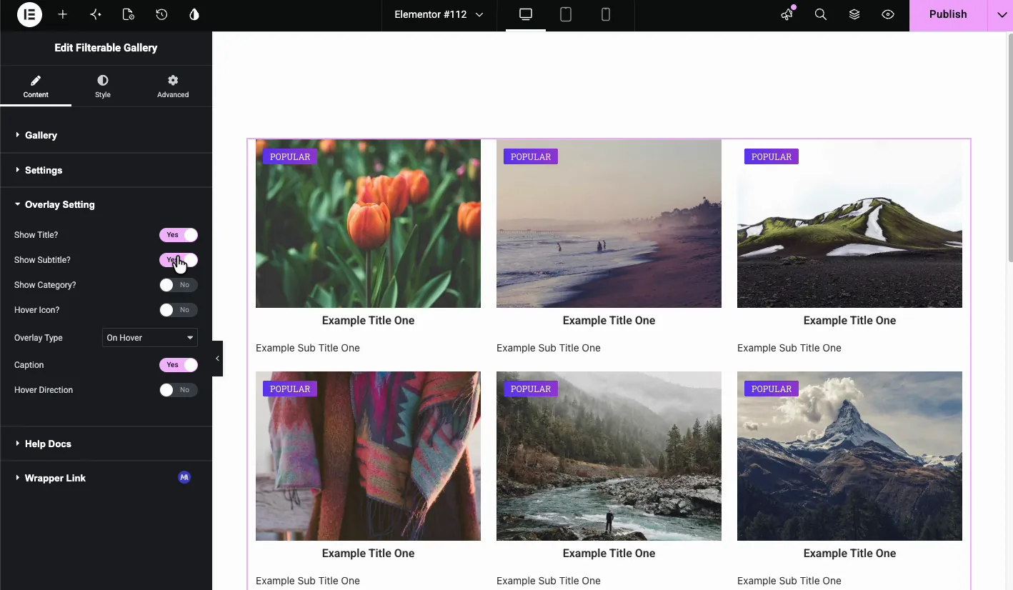 Overlay Setting section showing Show Title, Show Subtitle, Hover Icon, Overlay Type, and Caption toggles