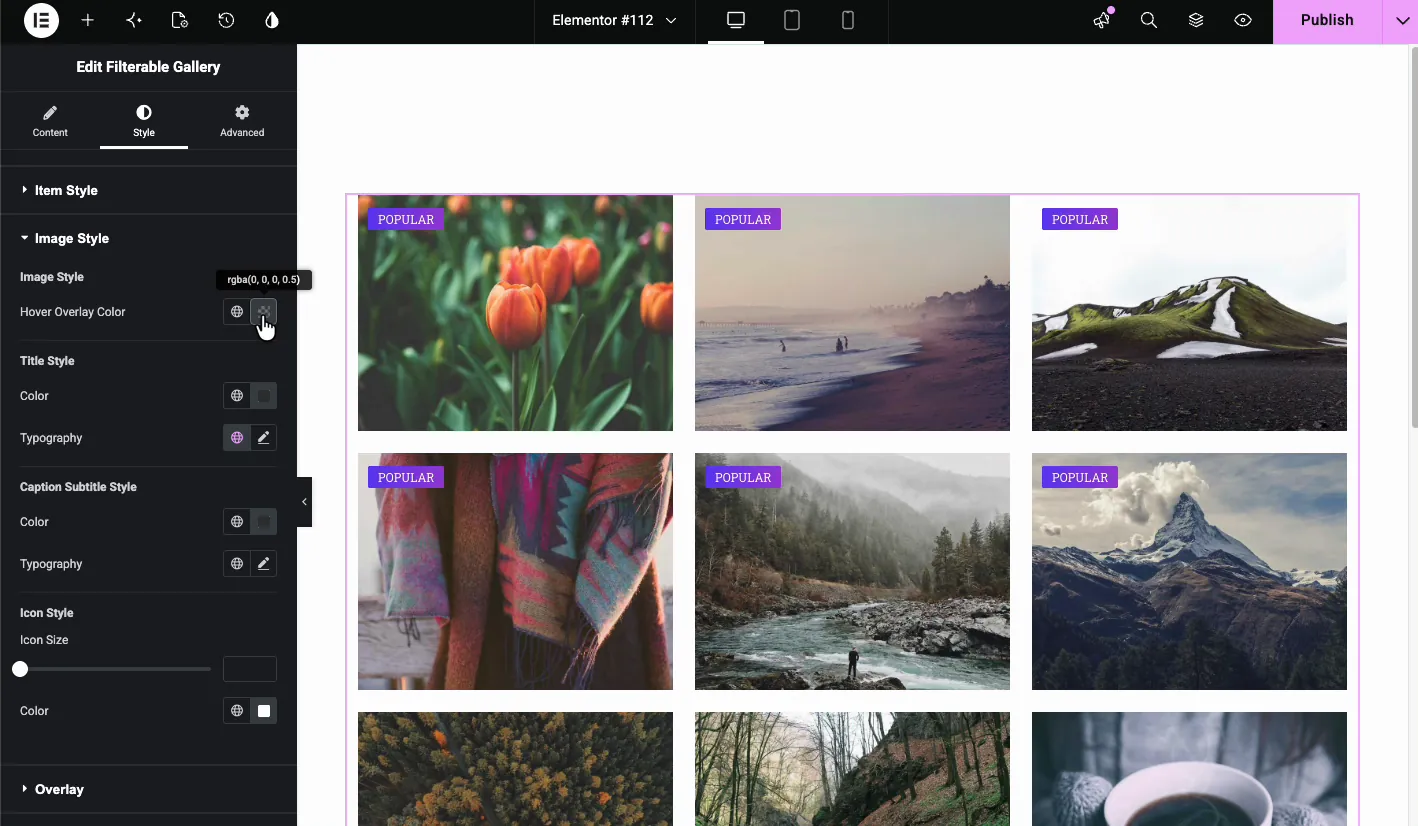 Image Style section showing Hover Overlay Color, Title Style, Caption Subtitle Style, and Icon Style options