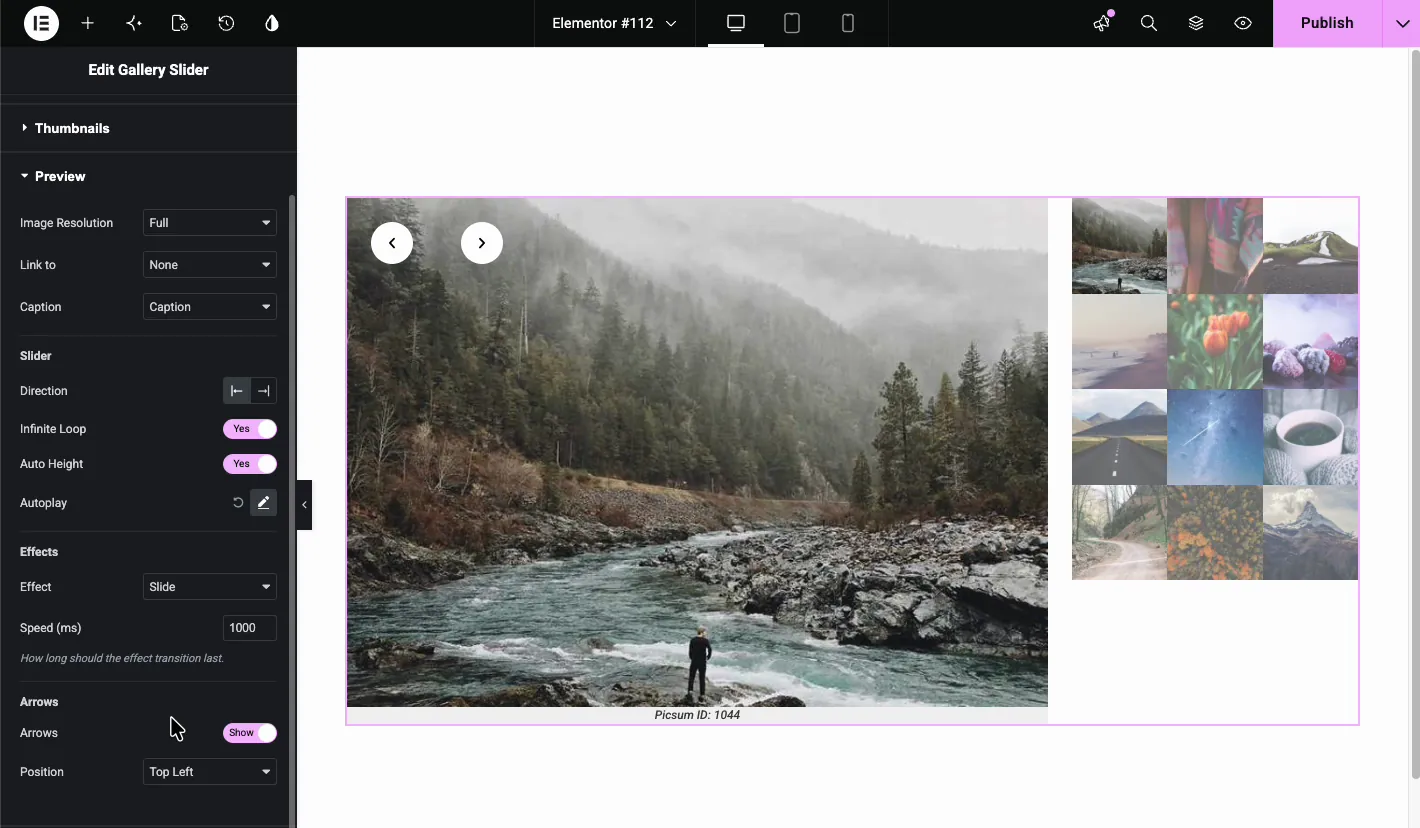 Preview section with Image Resolution, Link to, Caption, slider Direction, Infinite Loop, Auto Height, Autoplay, Effect, Speed, and Arrows settings