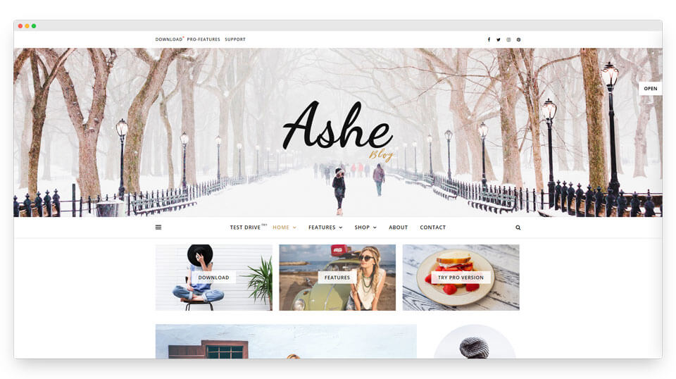 Ashe blog and magazine WordPress theme for Elementor