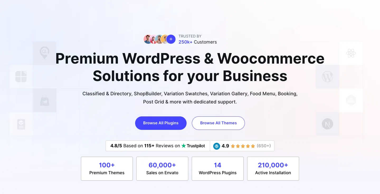 RadiusTheme homepage