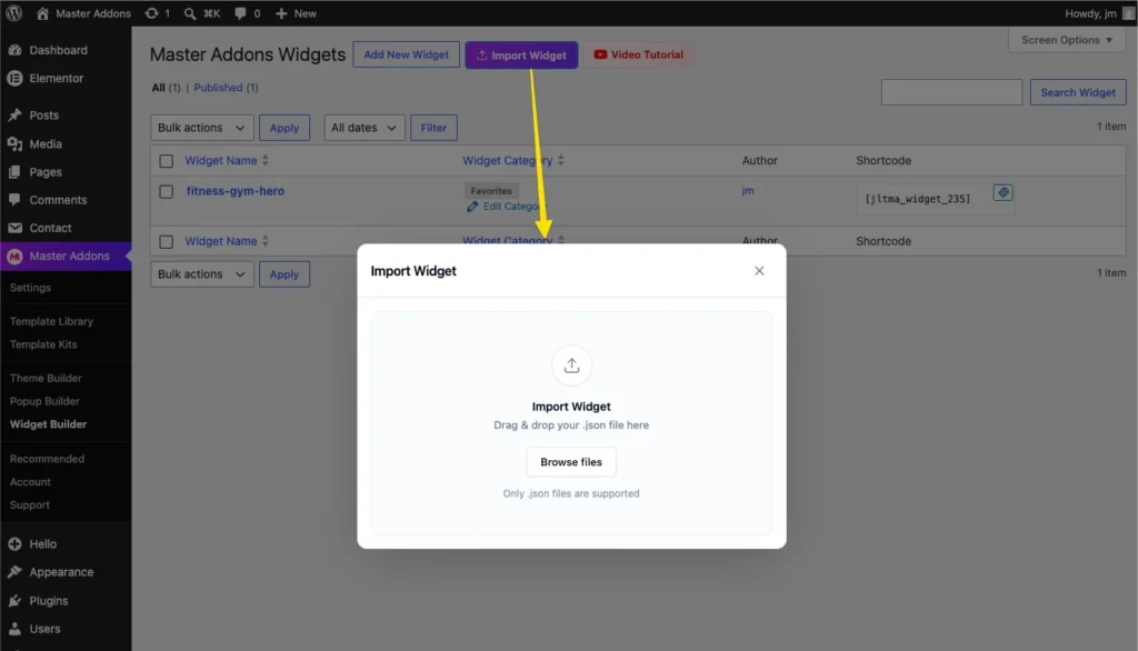 imporrt custom widget in master addons