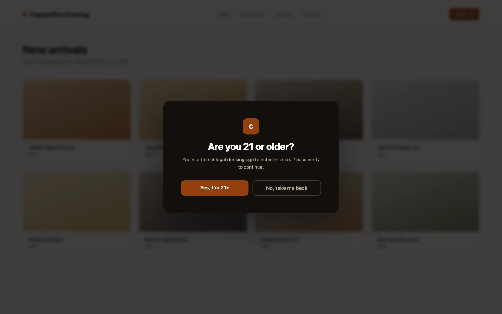 Full screen age verification gate popup example built with the Elementor popup builder