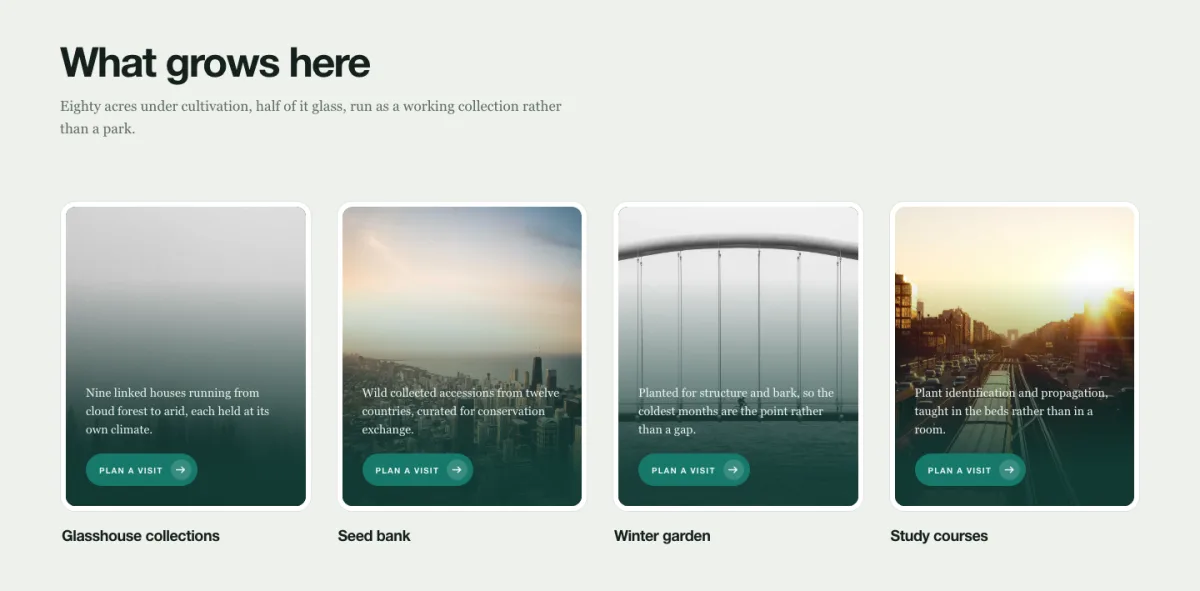 Threshold Elementor image box design on dark green where doors part down the middle to reveal each image