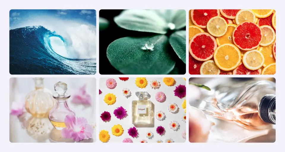 Three-column photo grid built with the Widget Builder Gallery field showing six images
