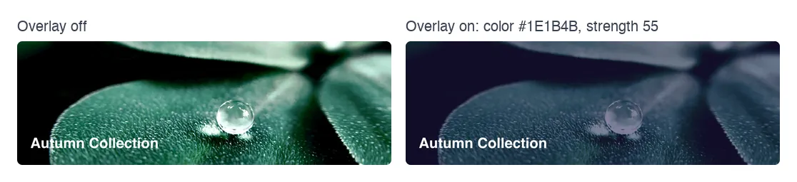 Image banner built with the Widget Builder Popover Toggle field shown with the overlay off and with a dark overlay on