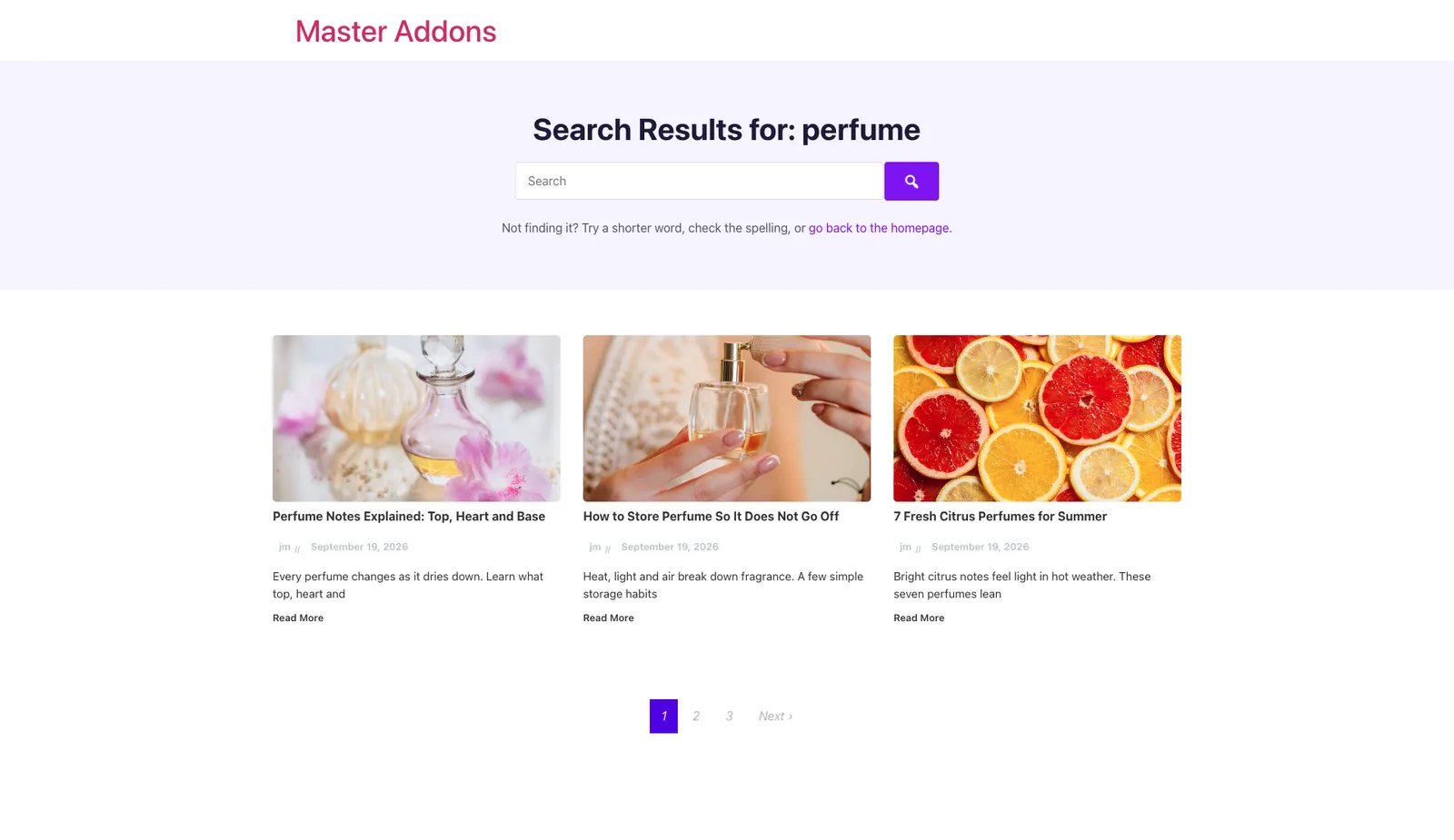 Custom Elementor search results page built with the Master Addons Theme Builder showing a search heading, search bar and a three-column results grid
