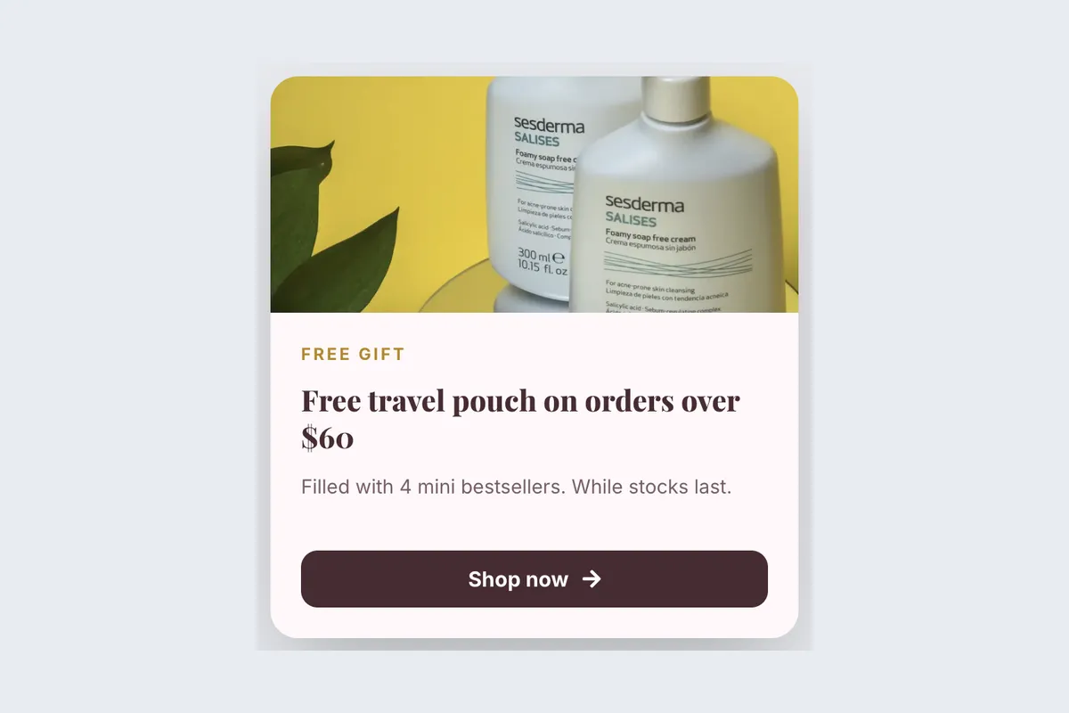 Gift With Purchase · Free Pouch template, full page