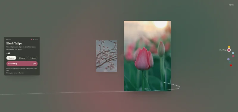 Swatch Shop product scroll effect for Elementor showing a tulip photograph, a product card with price and button, and a muted pink and green background