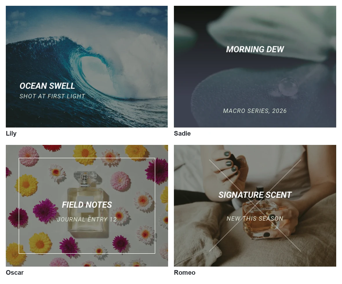 Four image hover effects with text overlays in Elementor: Lily, Sadie, Oscar and Romeo