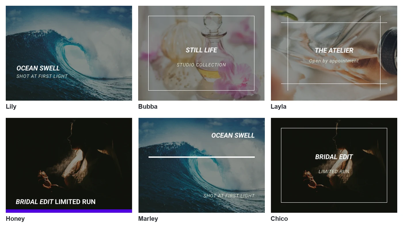 Six Master Addons image hover effects in their hover state: Lily, Bubba, Layla, Honey, Marley and Chico