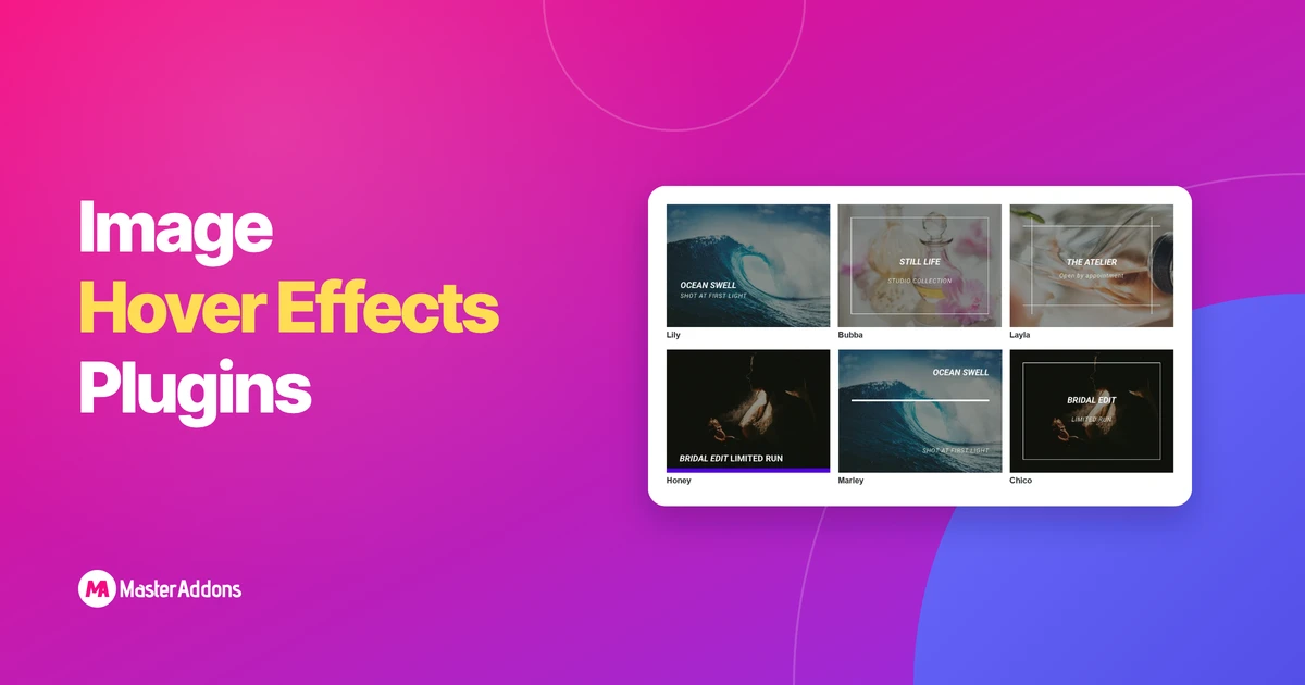 Six image hover effect styles in a grid